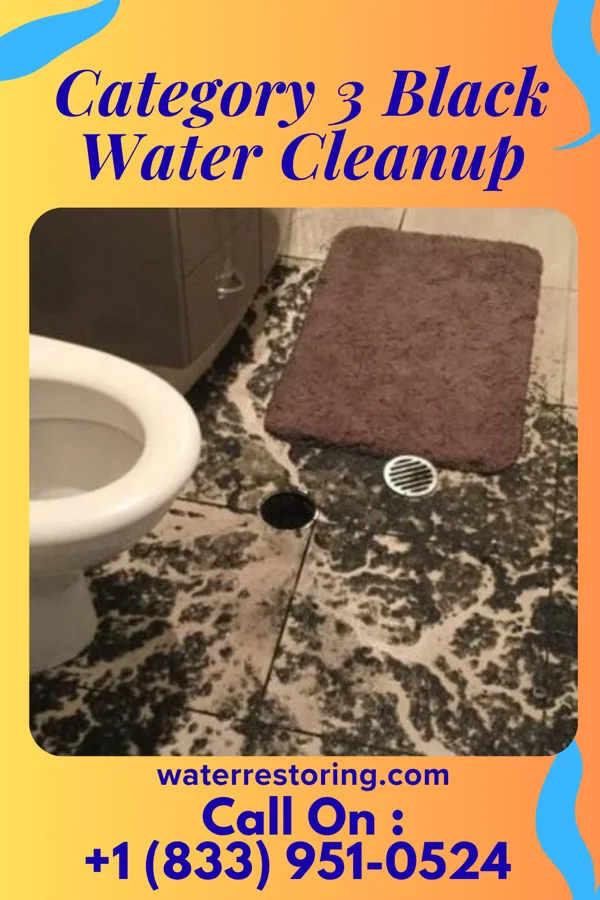 Category 3 Black Water Cleanup in Marlborough, MA